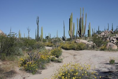 IMG_2640.jpg