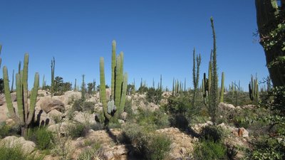 IMG_7002.jpg
