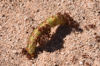 DSC_0765.JPG