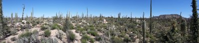 20170324_095042.jpg