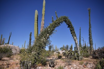 DSC_0740.JPG