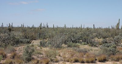 IMG_3675-d.jpg
