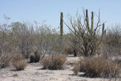 IMG_4829.jpg