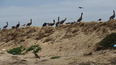 IMG_7237.jpg