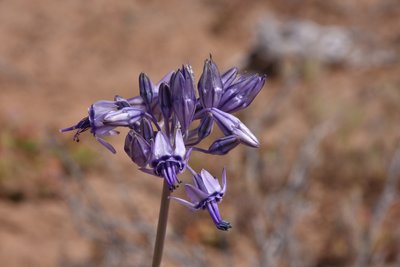 DSC_2156.JPG