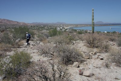 IMG_6656.jpg