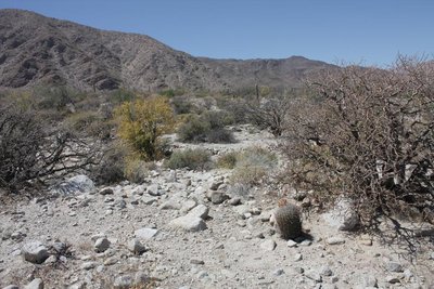 IMG_6634.jpg