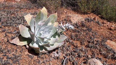 20170405_162055.jpg