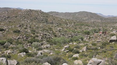 IMG_7308-a.jpg