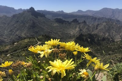 Artenara mit Blumen (800x533).jpg