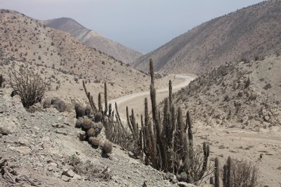 (hier in ca. 550 m Höhe - die Straße war 2008 noch nicht asphaltiert)