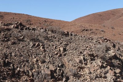 Cop12_004_3027.jpg