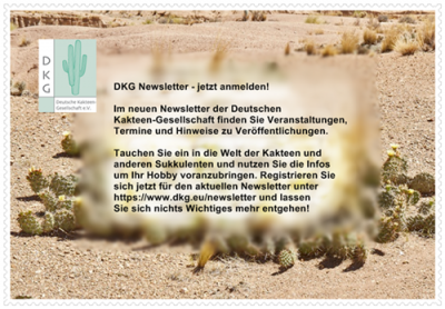 Newsletter Werbung verkleinert500.png