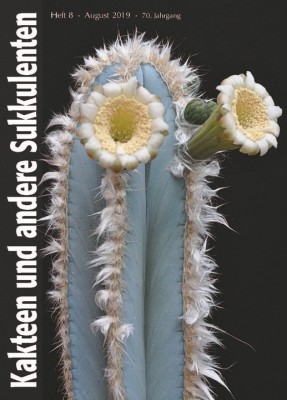 2019 08 August Titelbild Pilosocereus pachycladus Kamiel Neirinck klein.jpg