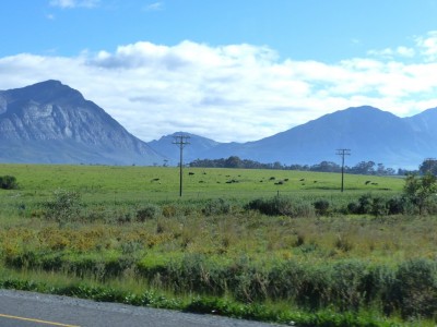 Cedargebirge.jpg