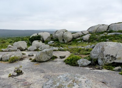 Felsen.jpg