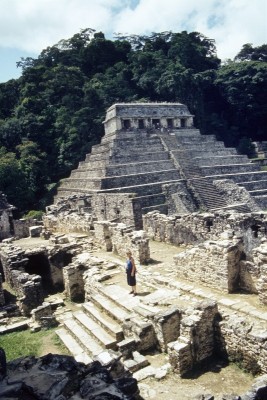 41 Palenque.jpg