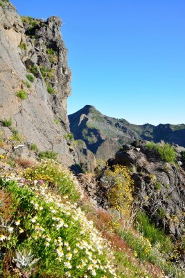 Das Ziel: der Pico Ruico