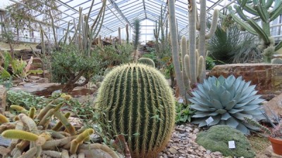 Dr.-Till-Haegele-Bot.-Garten-Muenchen-scaled klein.jpg