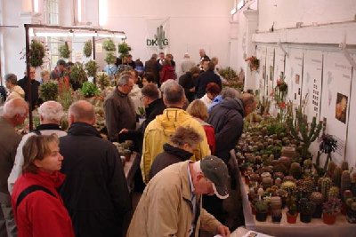 Viele Besucher strömten zu unserer Ausstellung