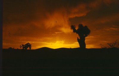Sonnenuntergang2.jpg (302.23 KiB) 7932 mal betrachtet Ende