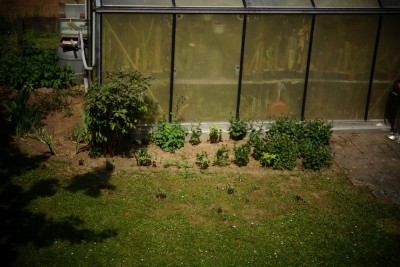 Ascleps-Garten von oben.jpg