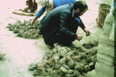 PICT000003.JPG
