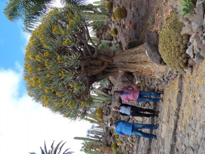 1 Garten, Cactus Aldea.JPG