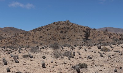 Cop13_las m_30_2056-axxx.jpg