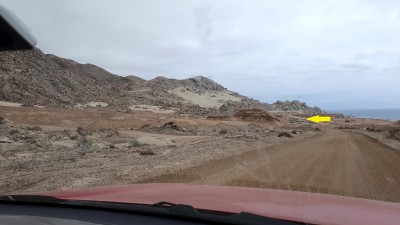 Cop14_tigrillo_00_2210_20241122_161459-aa.jpg