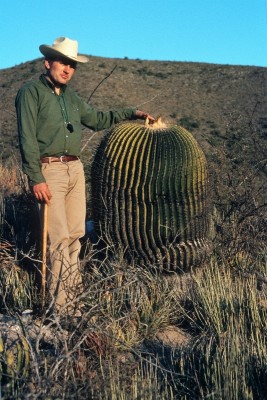H.-D. Jaumavetal, Echinocactus ingens.jpg