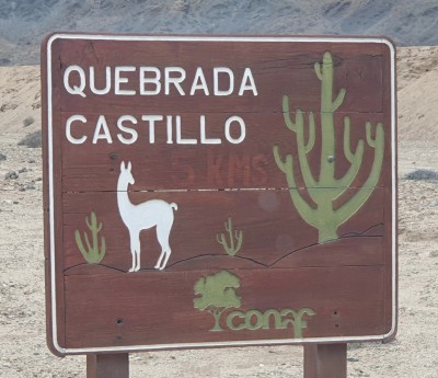 Cop18_Castillo_02_20241126_141845-a.jpg