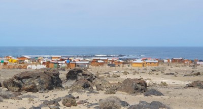 Cop19_Flamenco_05_20241127_111157-a.jpg