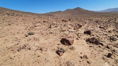 Cop23_vallenarensis_32_20241129_155557.jpg