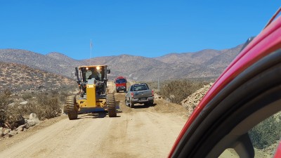 Cop25_fusca_00_20241201_115941.jpg