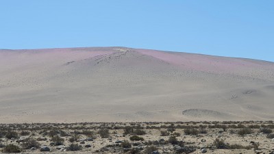 Cop29_leonensis_12_20241206_105657-a.jpg