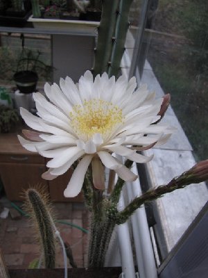 IMG_0961.JPG