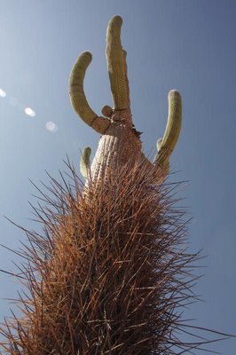 3530-EOS_7142.jpg