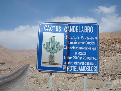 Arica-Putre_4.jpg