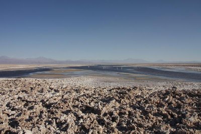 Salar de Atacama-EOS_6665.jpg