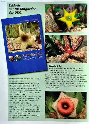 Sonderdruck<br />Stapelia und Co