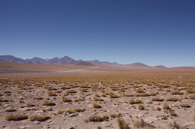 bei El Tatio-EOS_6839.jpg
