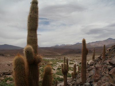 IMG_5256.jpg