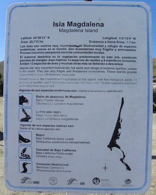baja-1016.JPG