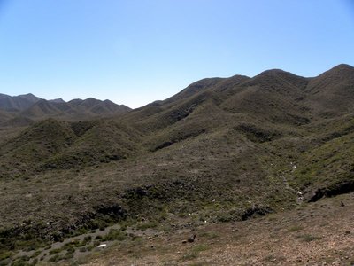 Bergwelt auf der Isla Magdalena