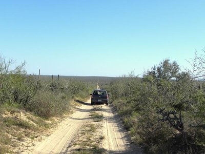 Mexican Highway