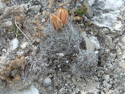 DSCF0182.JPG