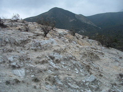 DSCF0184.JPG