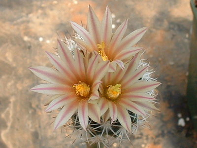 JM000015.JPG