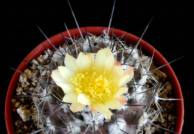 DSCN1619.JPG